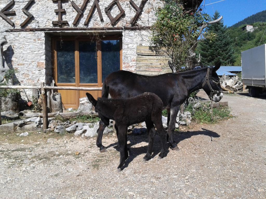 Hotel Archontiko Nikolopoulou Vytina Zewnętrze zdjęcie