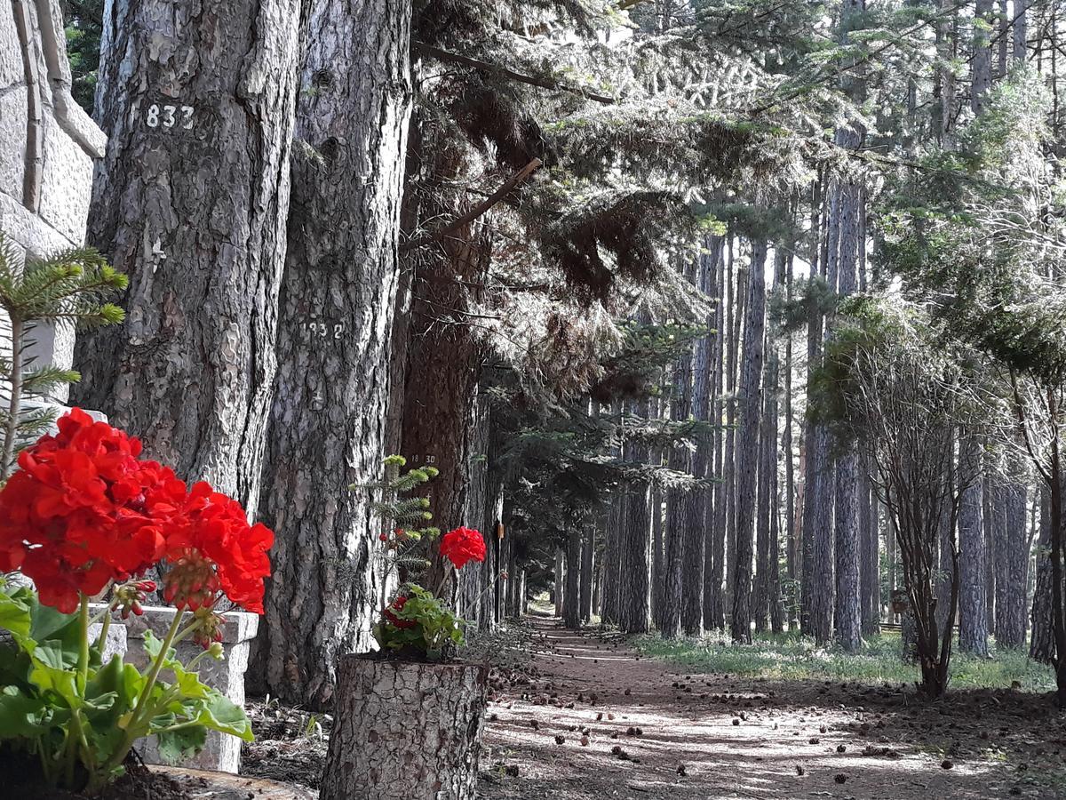 Hotel Archontiko Nikolopoulou Vytina Zewnętrze zdjęcie