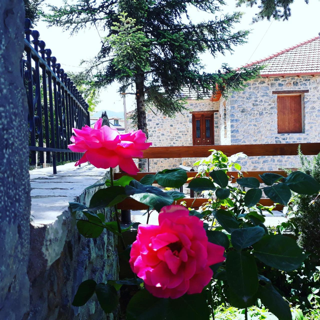 Hotel Archontiko Nikolopoulou Vytina Zewnętrze zdjęcie
